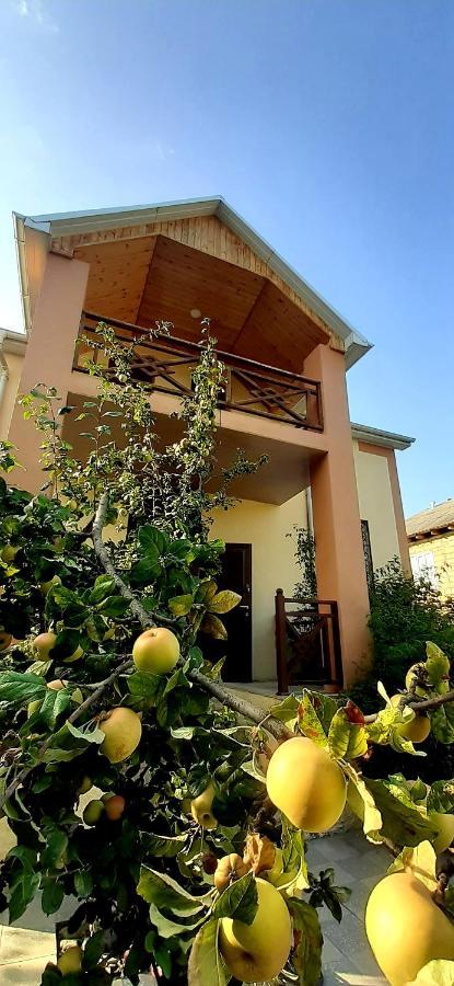 Gabala Sweet Home エクステリア 写真