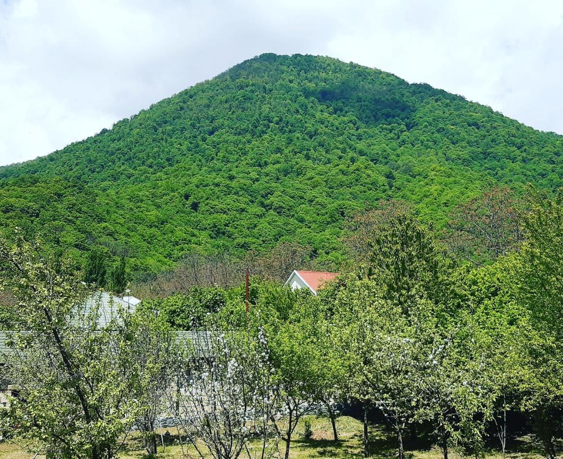 Gabala Sweet Home エクステリア 写真